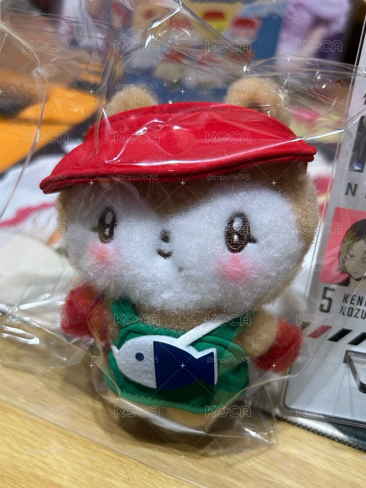 釜山捕魚秋🐟