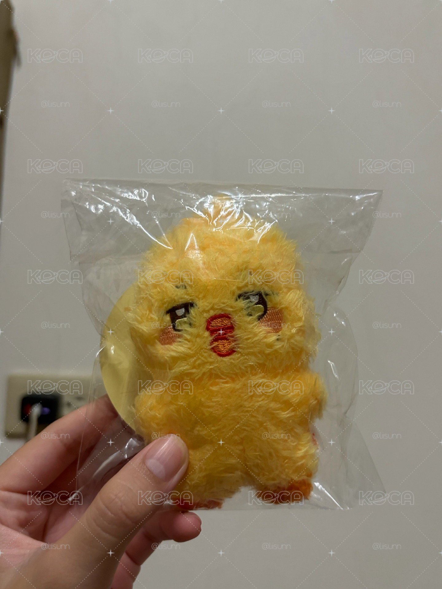 美味炸雞🐥