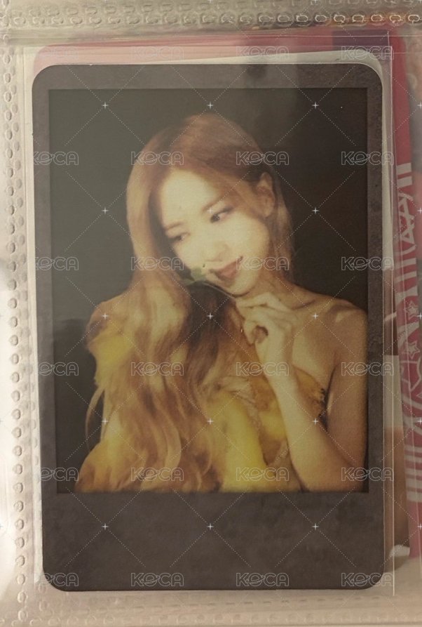 Rosé 黑