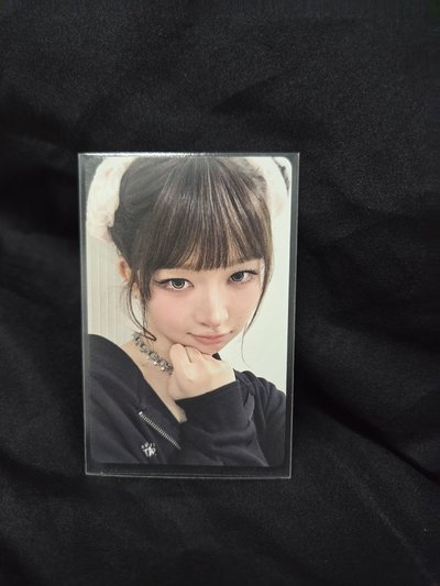 ive 東蛋怜