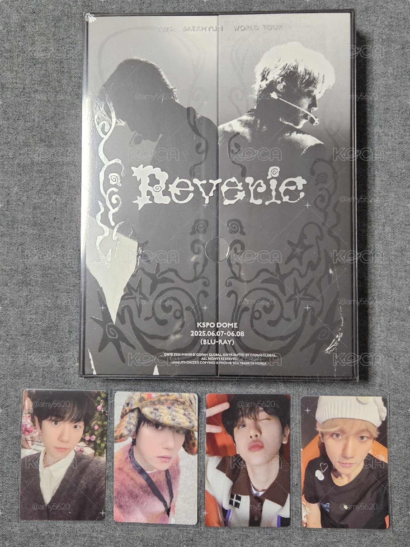 伯賢 二巡DVD藍光版含WM特典 全新未拆