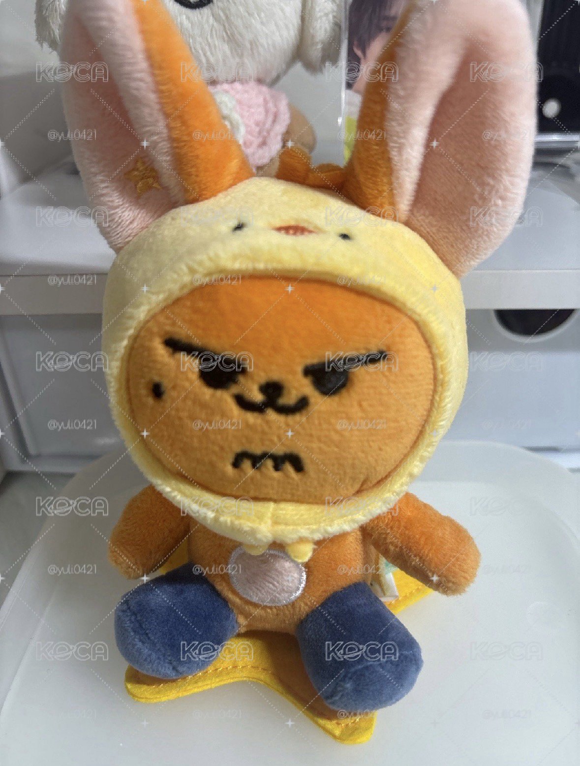 坐姿春春🦊含綁或直出