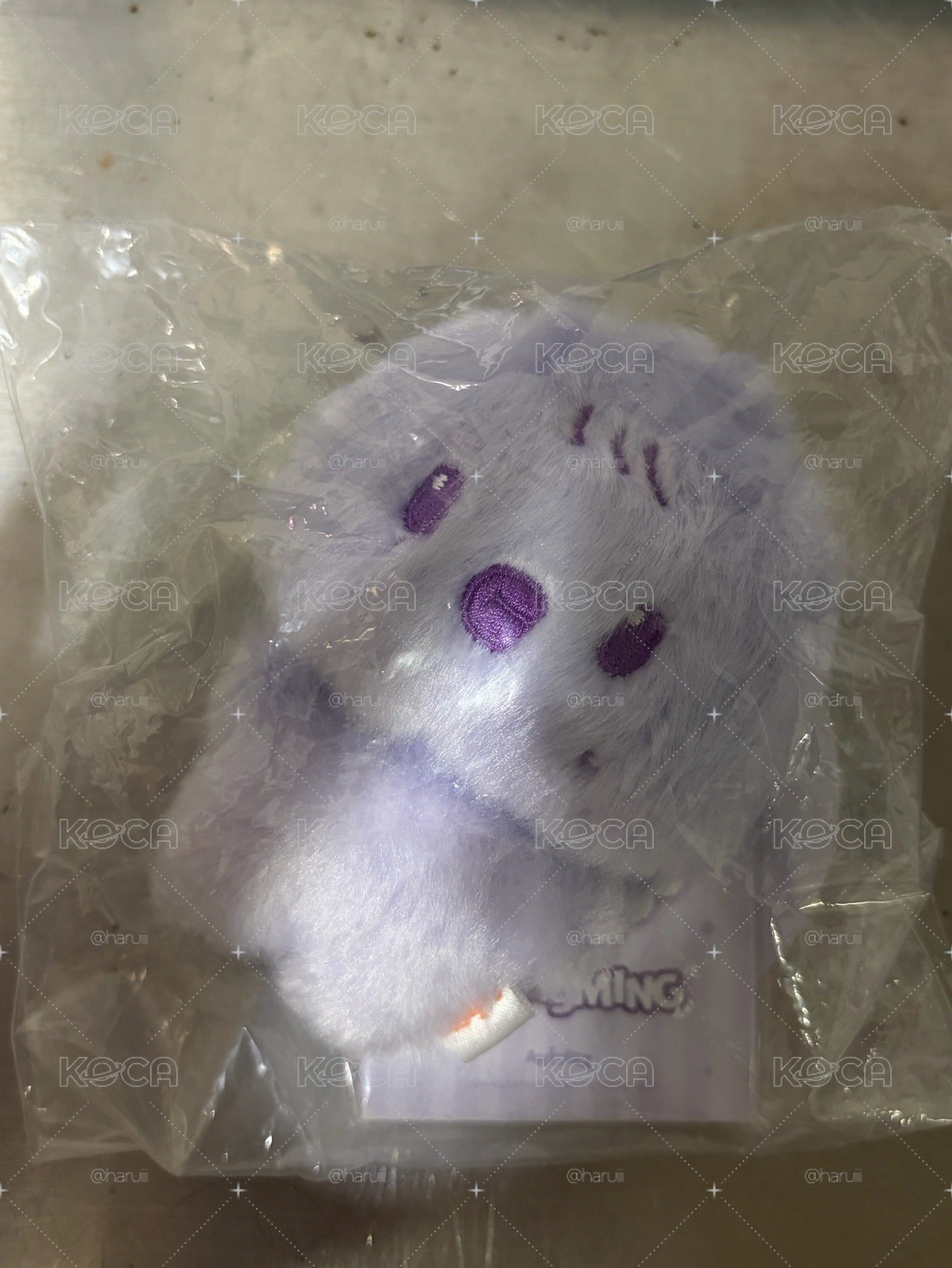全新未拆 異色琦