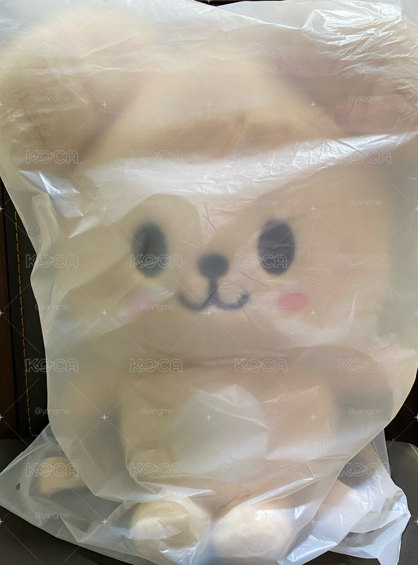 帕皮後背包限時特價
