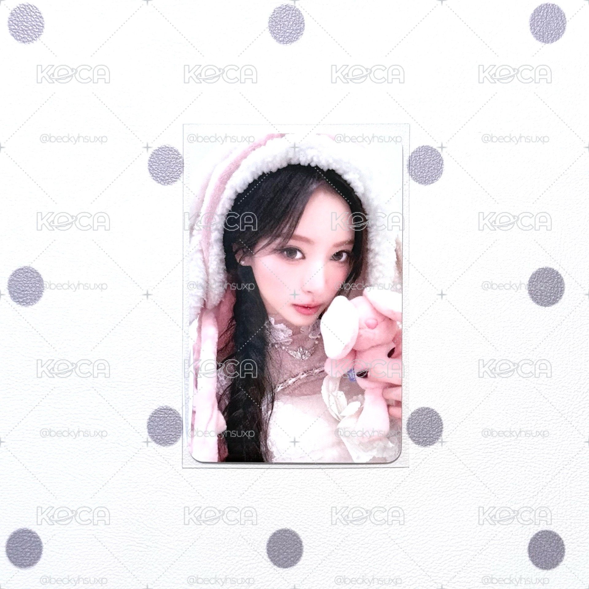 hl兔毯Anna🐰