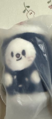 雪貂紫菜包飯