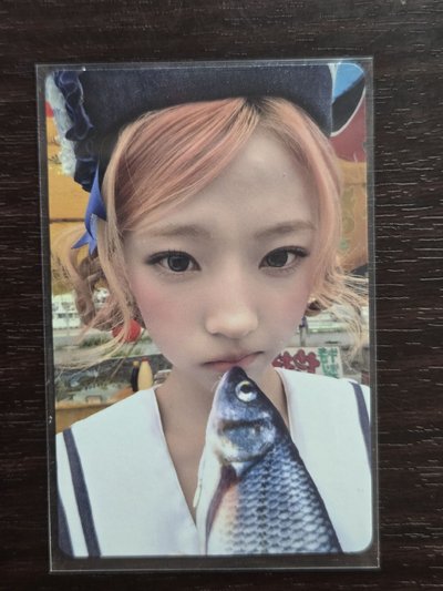 Stella JC專卡