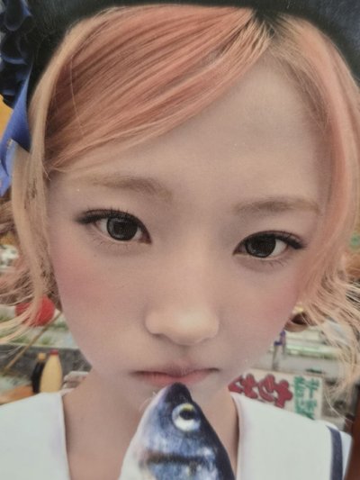 Stella JC專卡