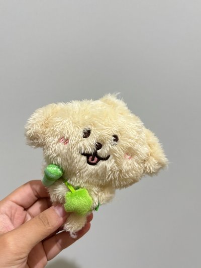 WISHDOLL 原皮