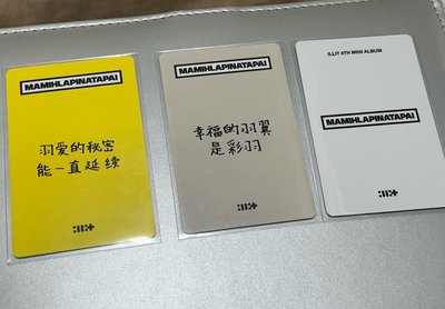 iroha yzy 中背&跆拳道