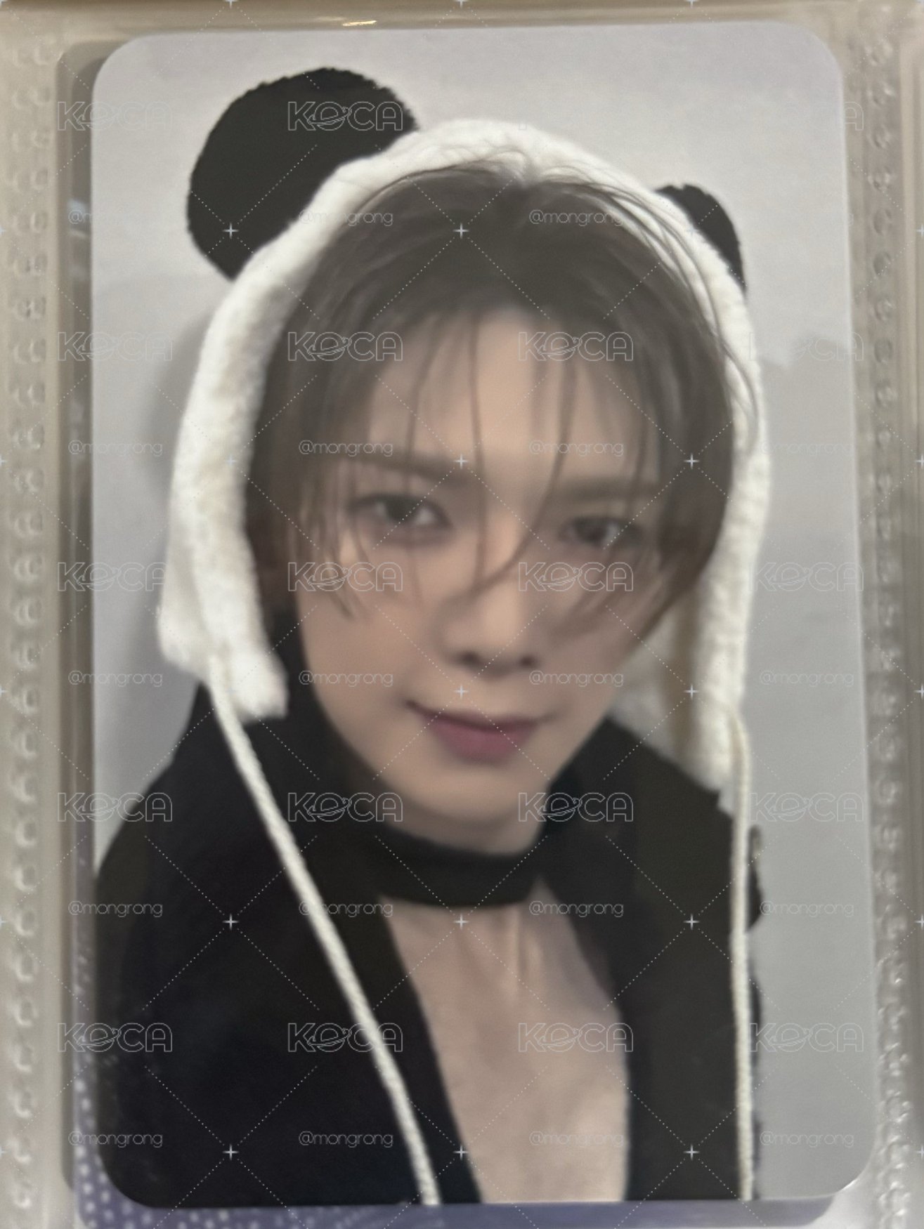熊貓尚🐼