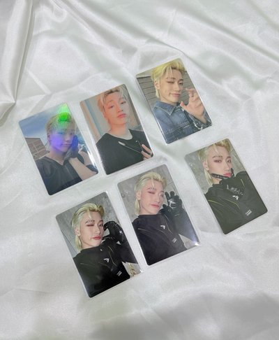 金毛傘咪