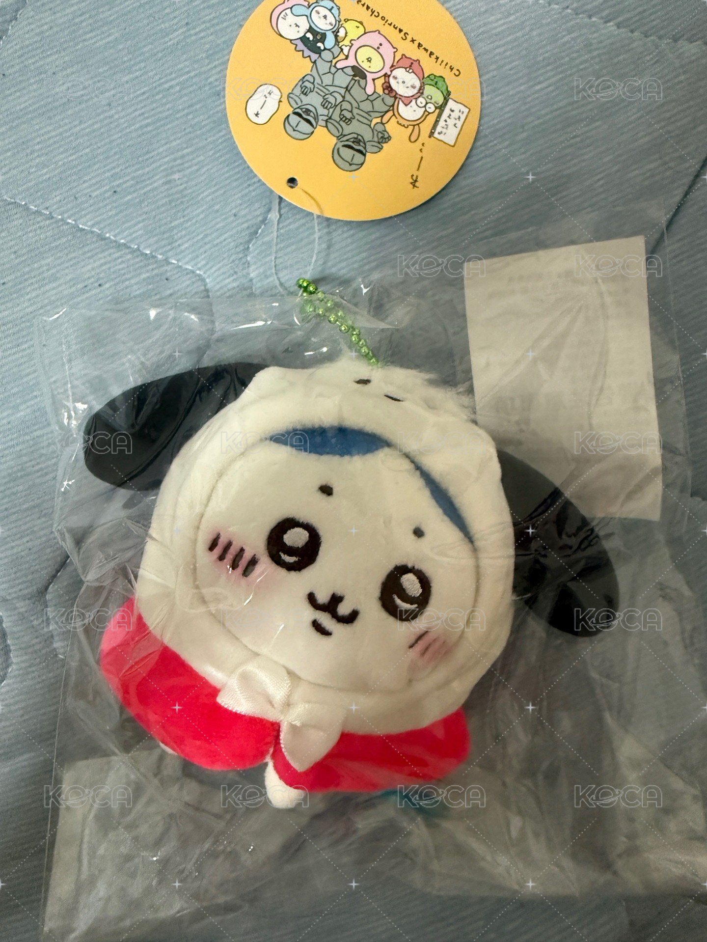 帕恰狗八 華山購入