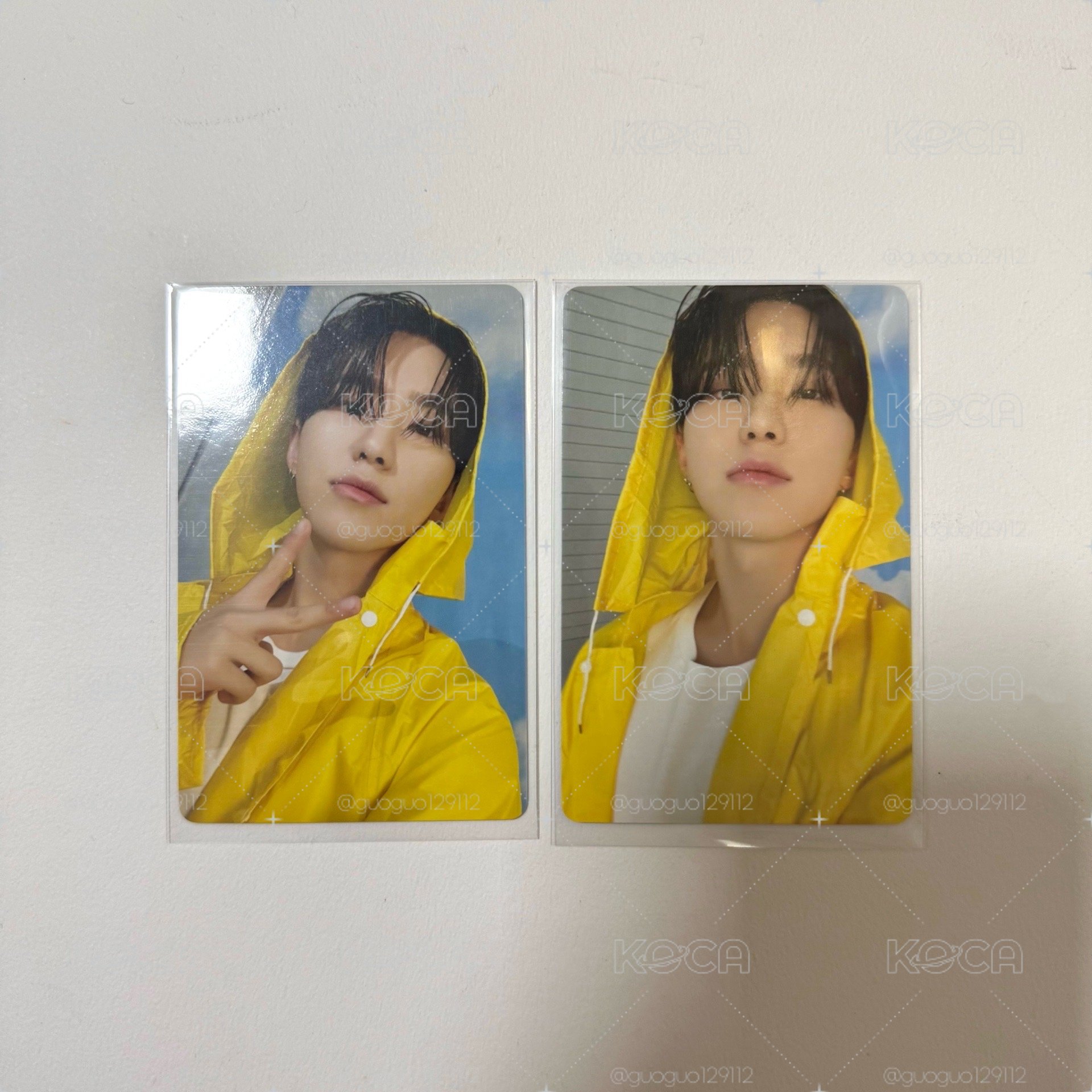 MINI11 專輯卡 CARAT 🐯