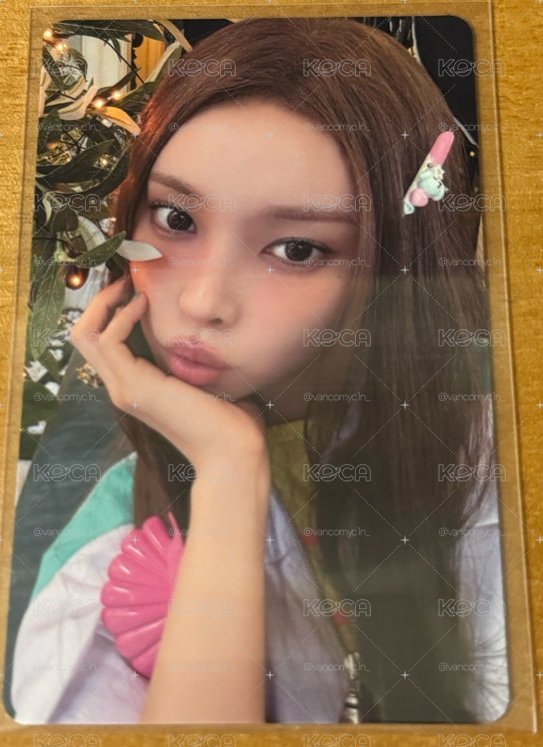 MAMIHLAPINATAPAI 環球 預售 特典卡 PAW PAW ver.