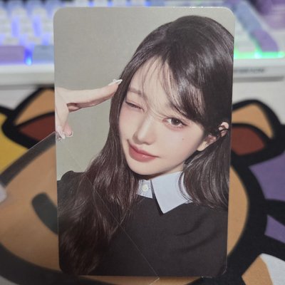 星船wink員