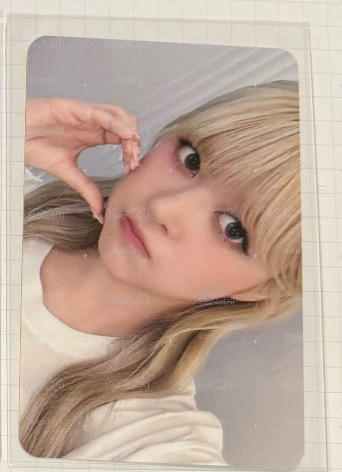 導覽莉