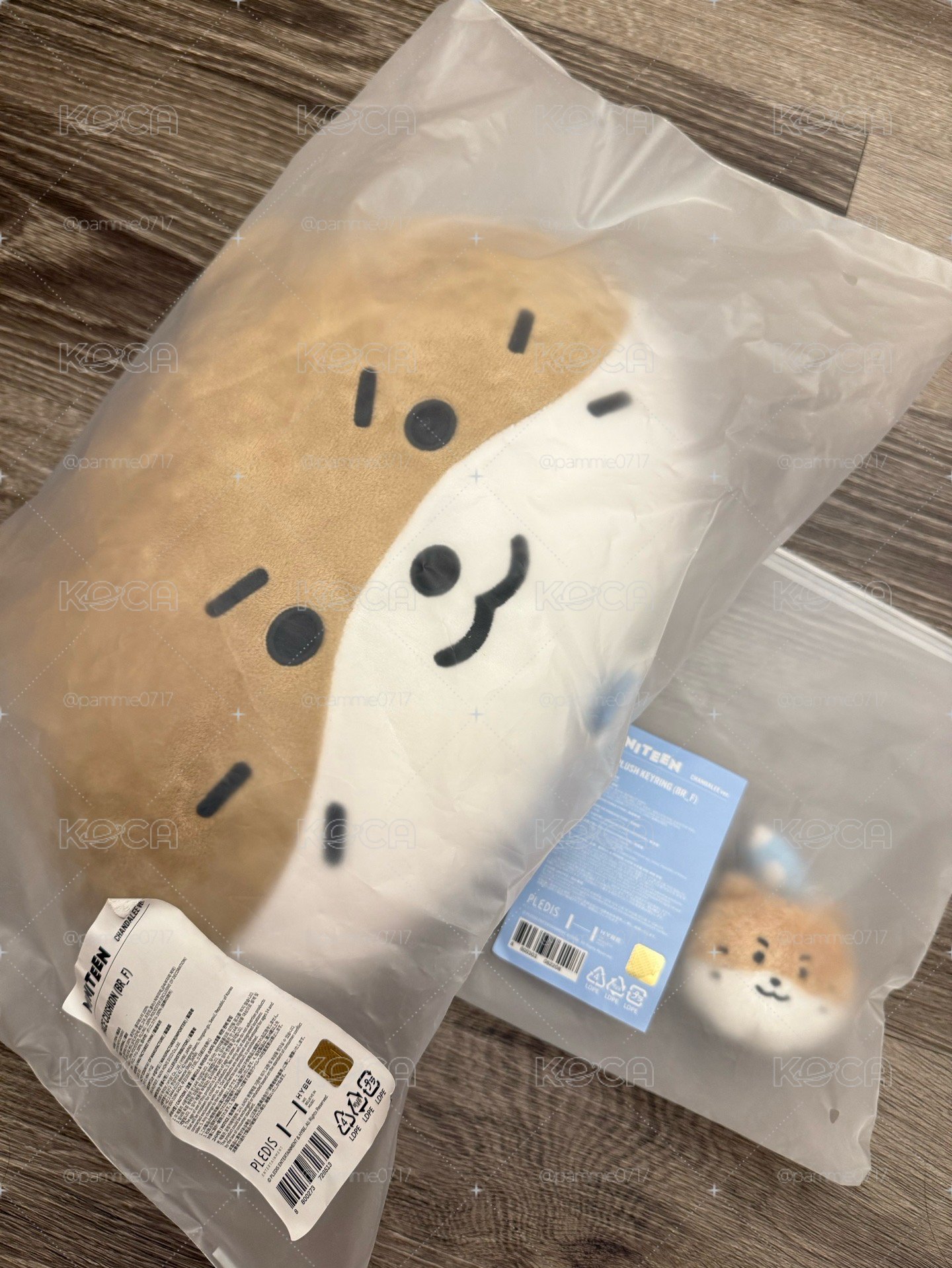 全新 燦抱枕+大頭吊飾