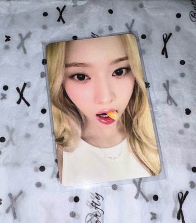 正規一 hl冬