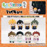 娃娃玩偶 mochi2 Tacchi 排球少年 麻糬娃 站立娃vol.1