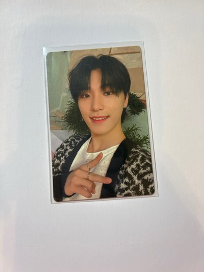 燦 迷九 專卡 carat ver