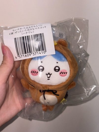 小八 狸貓吊飾C賞