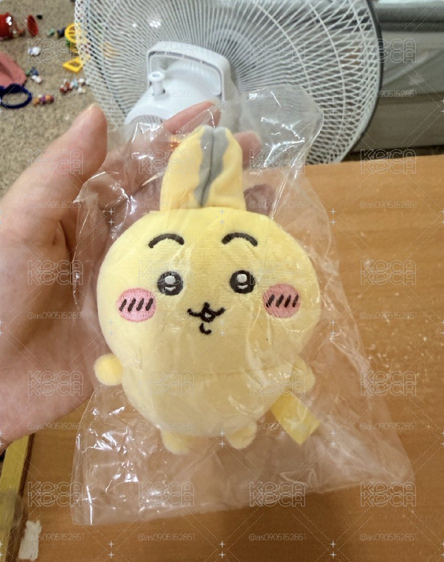 兔