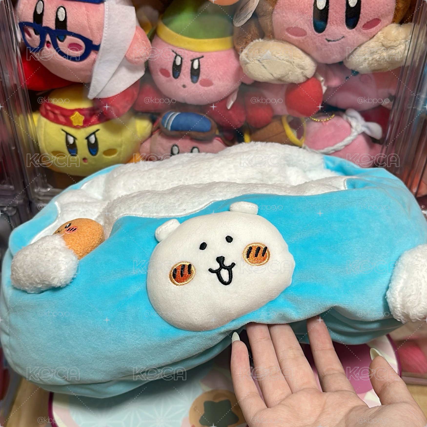 《贈》自嘲熊衛生紙套