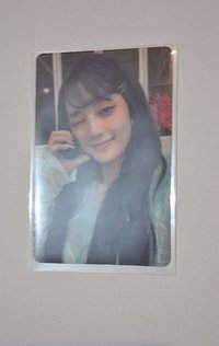 蝴蝶版專卡