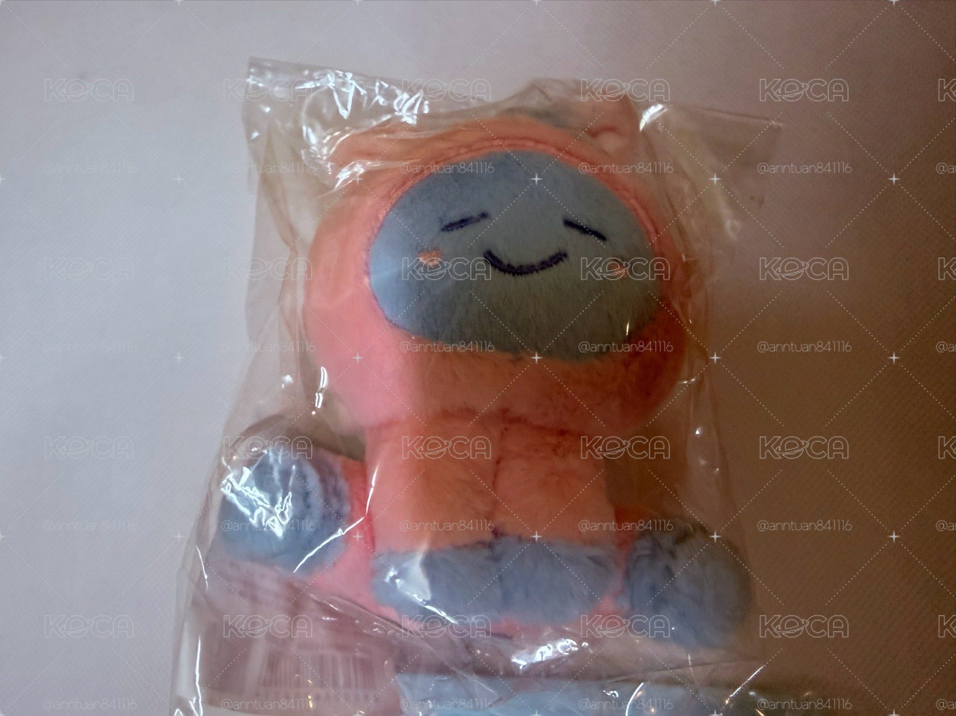 東海 娃