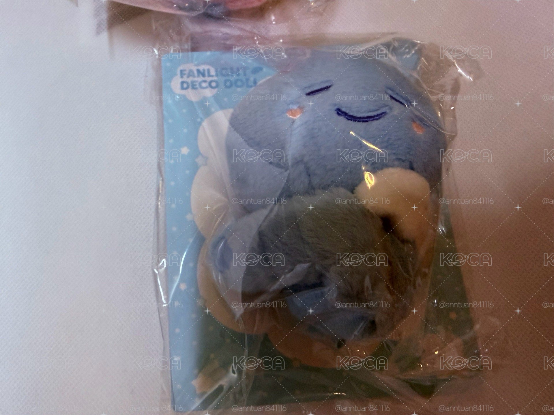 手燈娃 海