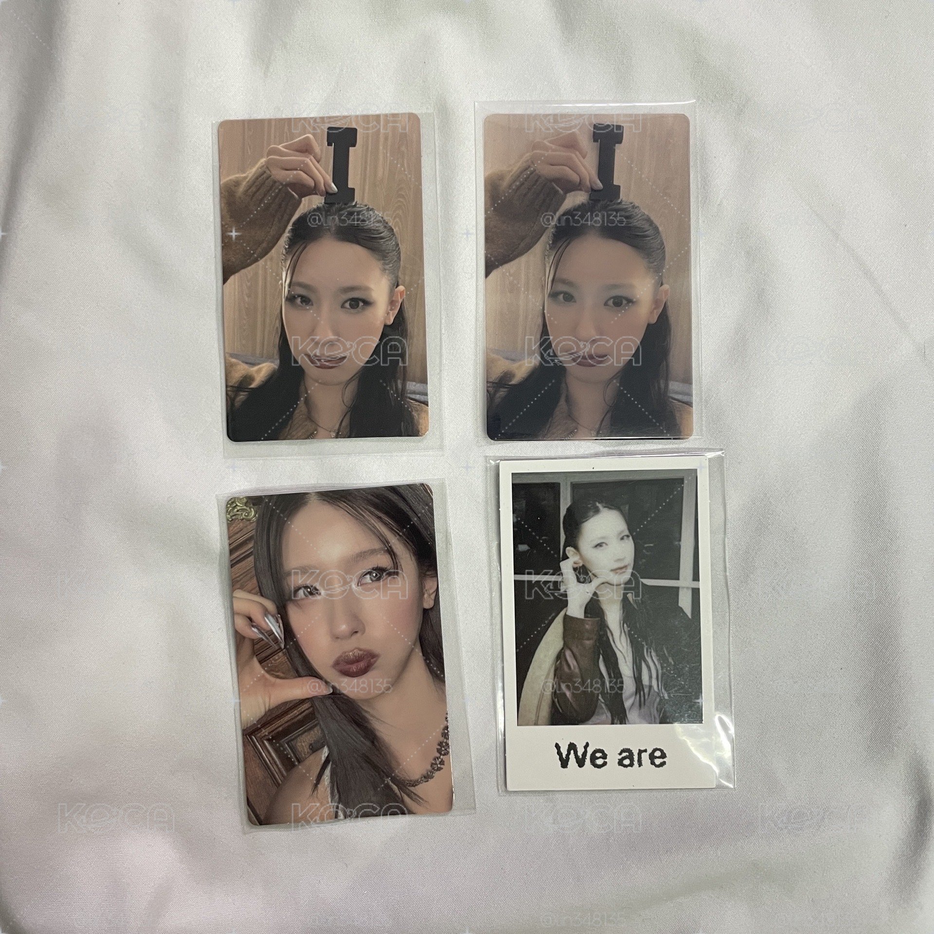 套出 薇娟 We are WVS 特典 透卡 拍立得