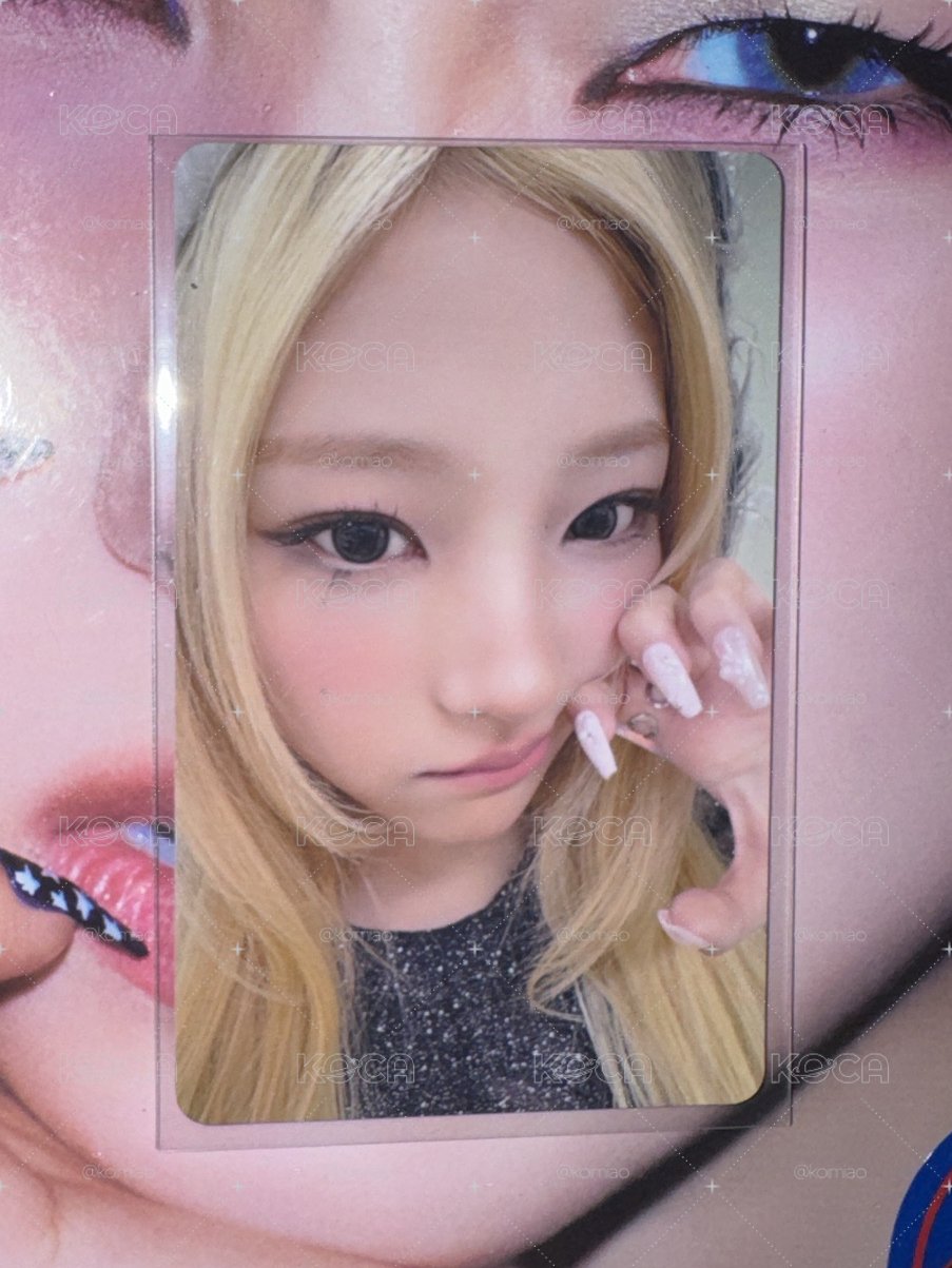 stella 環球特典卡