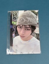 wvs泰山