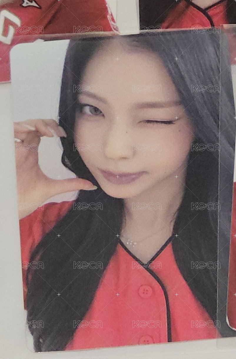 圭