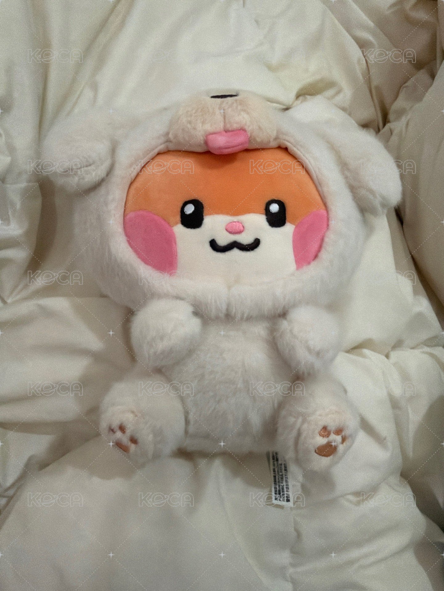動物坐姿