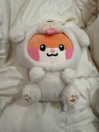 動物坐姿
