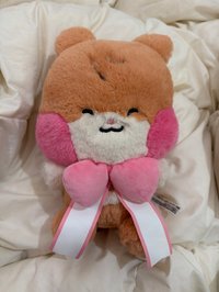 蝴蝶結