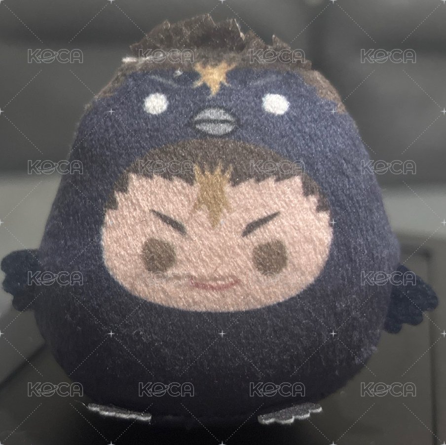 排球少年！西谷夕動物娃娃