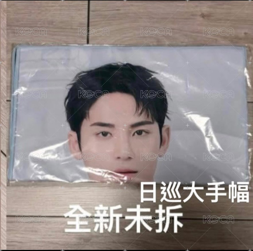 奎 日巡大手幅 全新