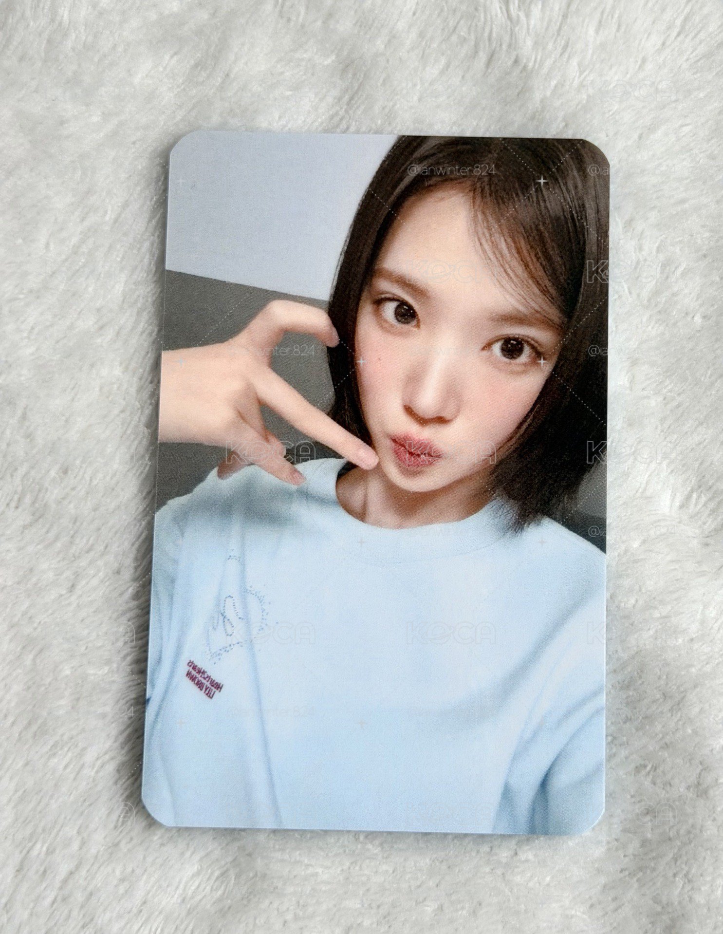 jiwoo LILY BROWN 代言卡 