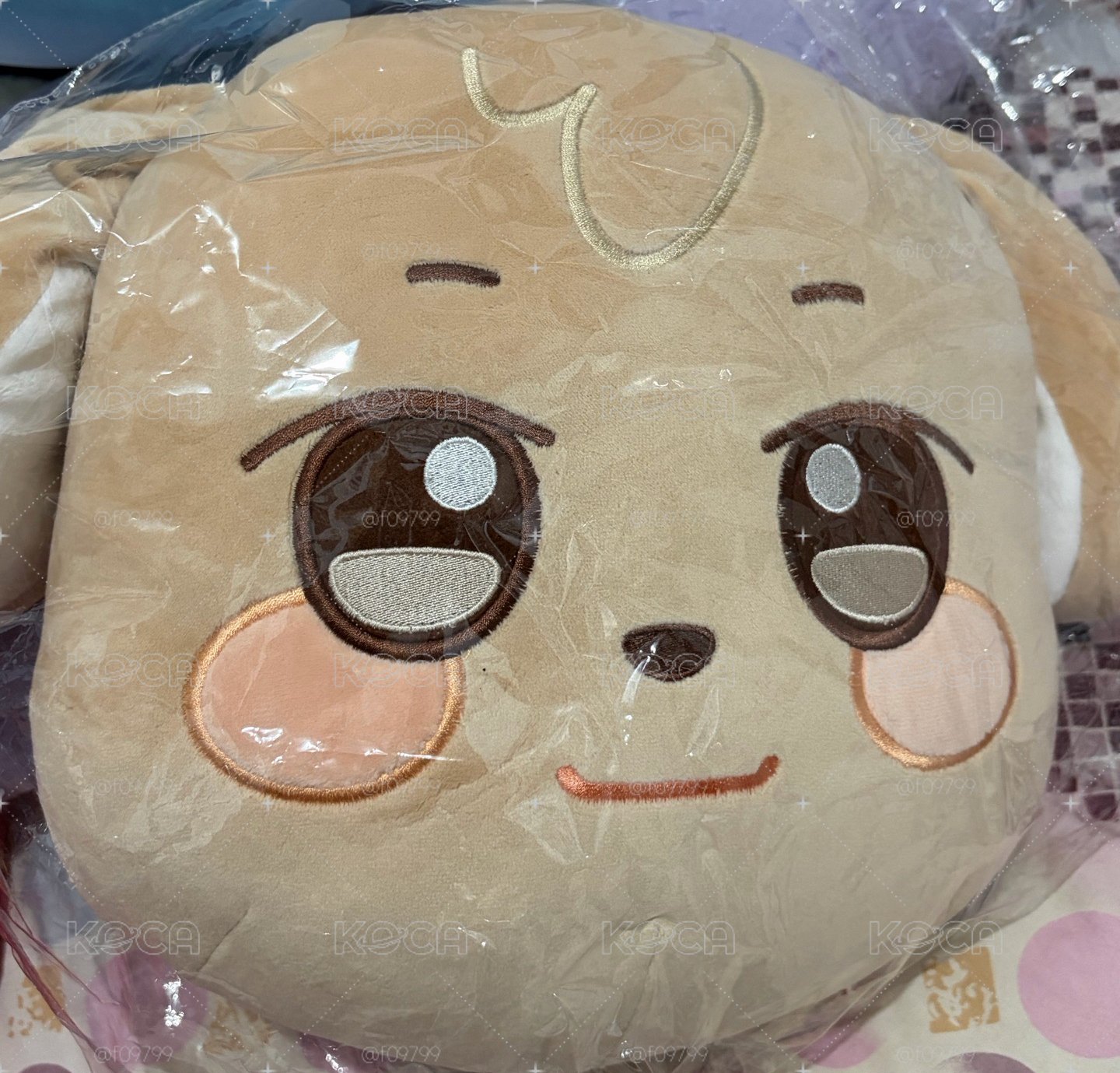 原皮潤抱枕
