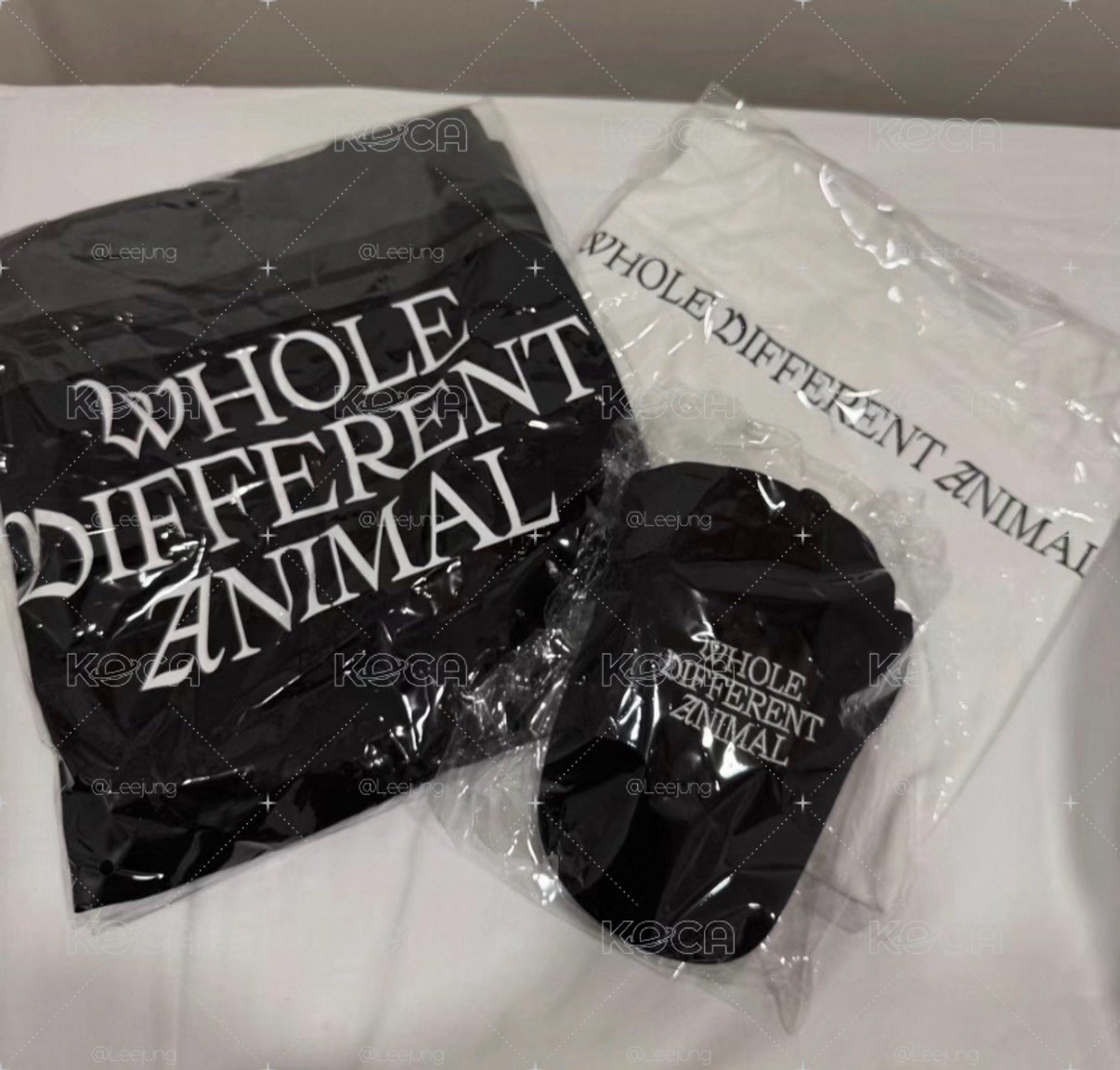 WDA逆應援