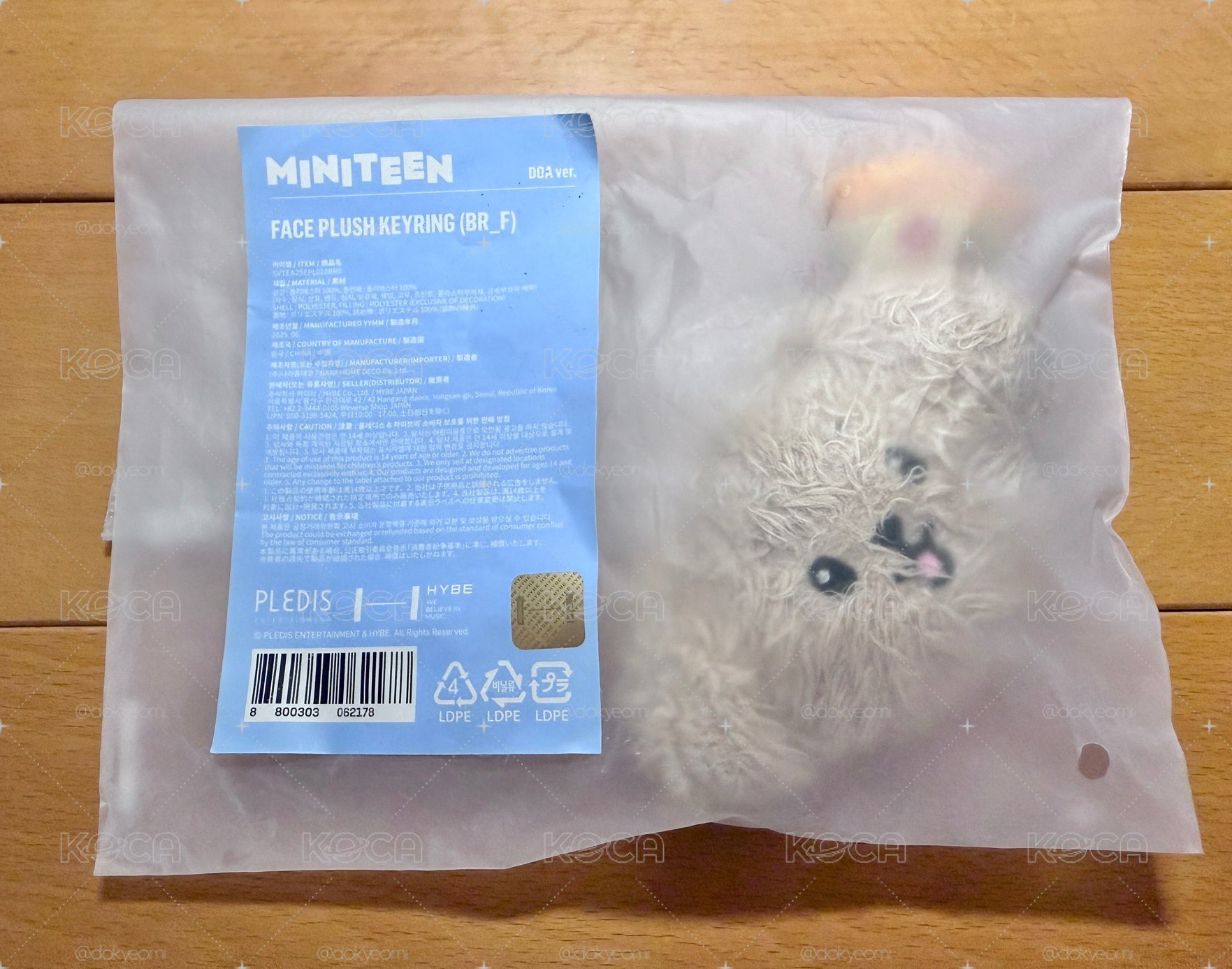 Miniteen 碩大頭