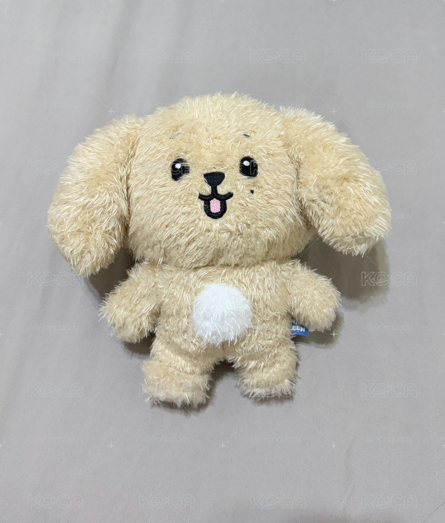 碩 Doa站娃