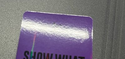 安世巡DVD一套