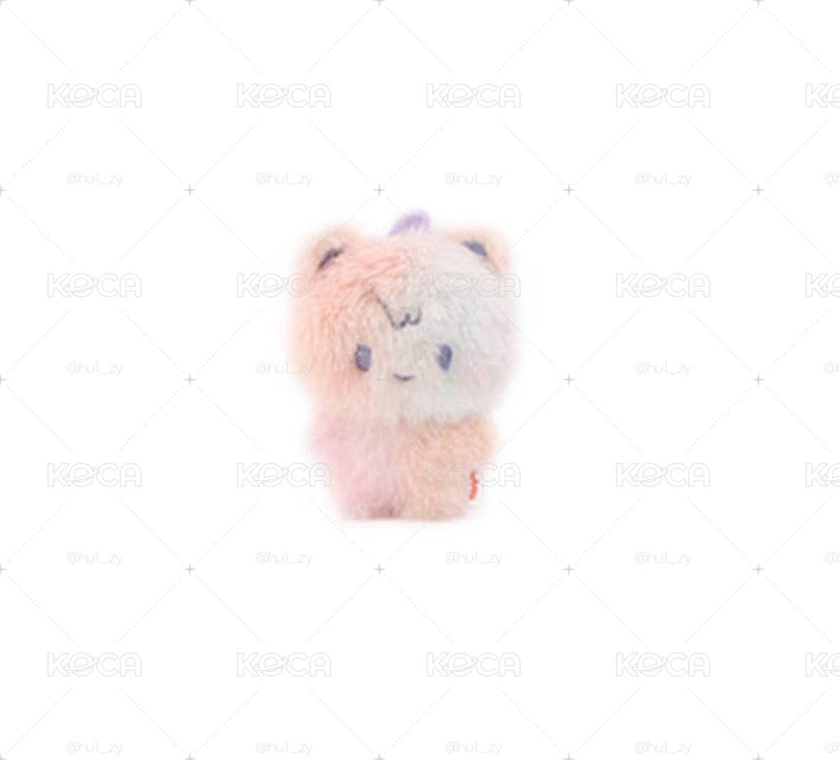Search image