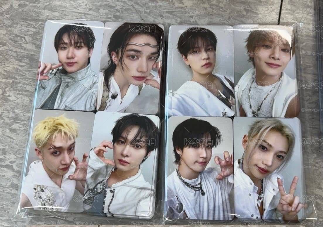 straykids BDM特典