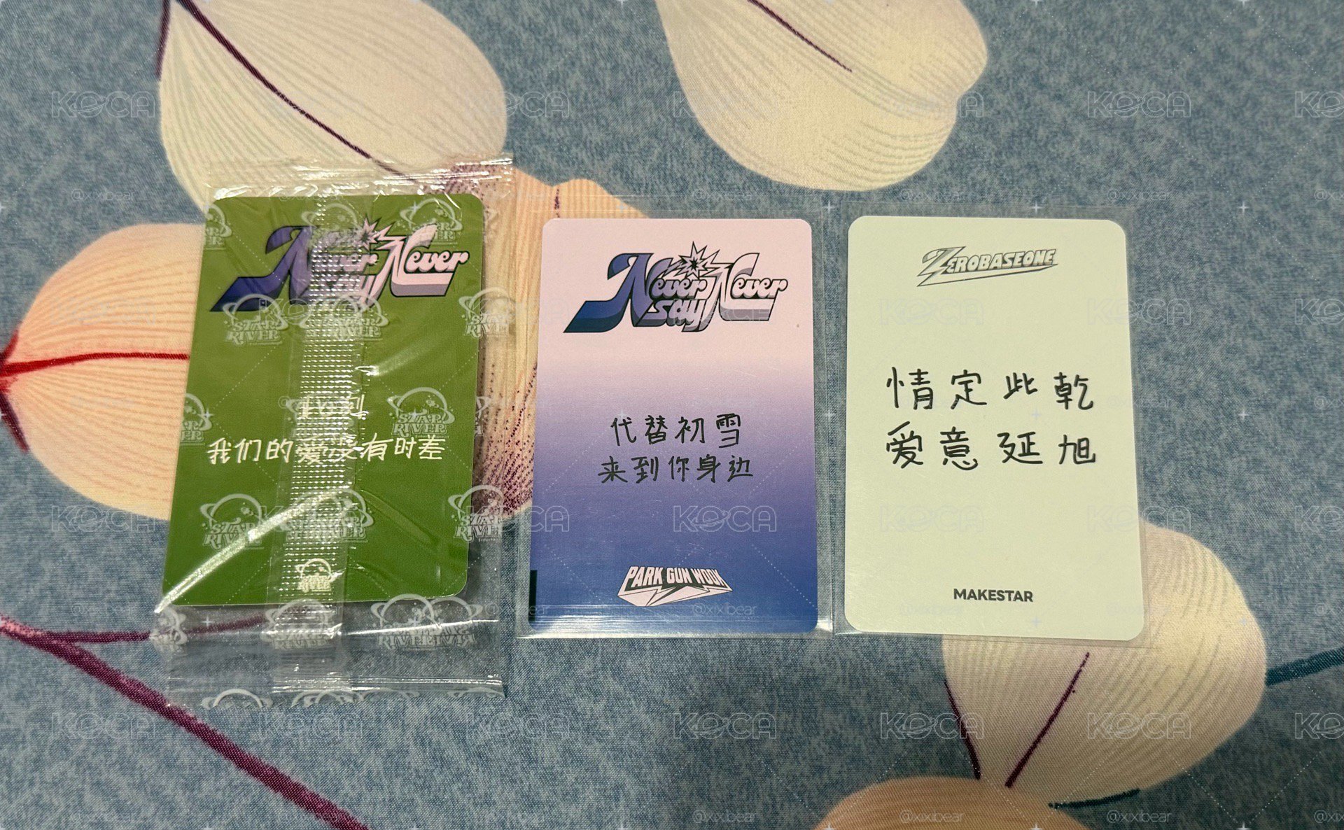 ZB1 正規一 旭卡 中文卡背