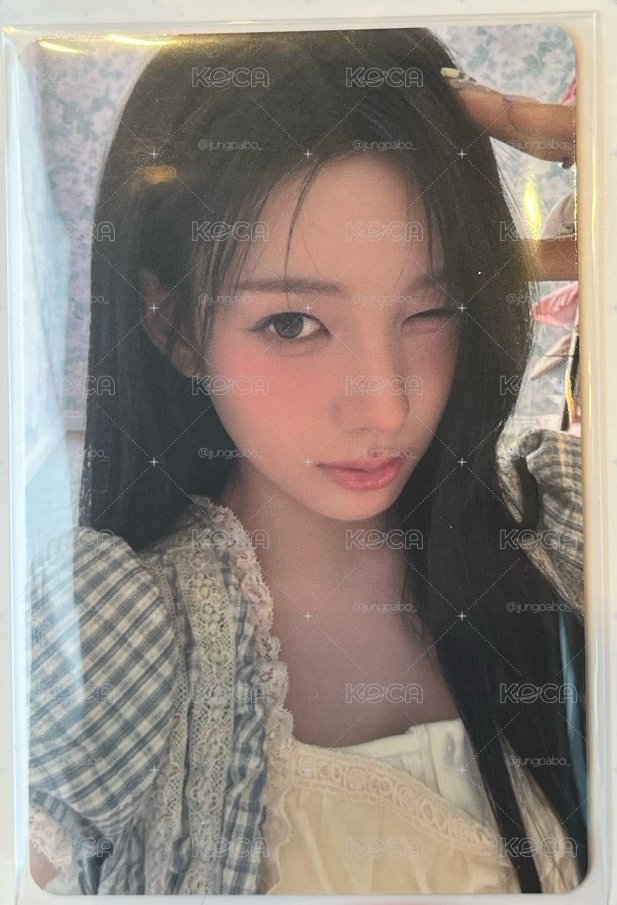 愛 日本sc 場限